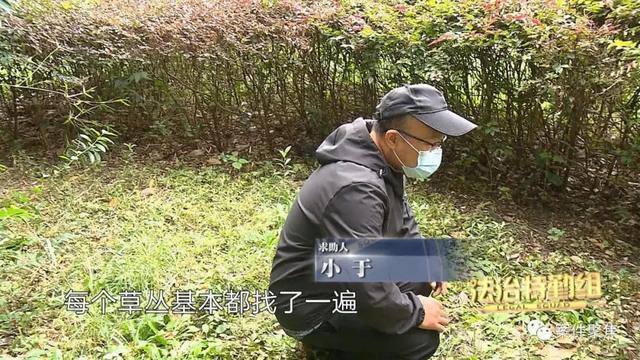 PG电子快递小哥欲哭无泪价值万元包裹被流浪狗“精准”叼走…(图5)