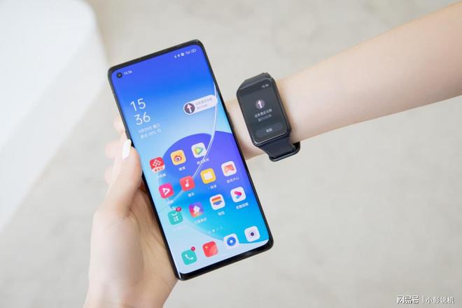 PG电子(中国)官方网站入门级智能手表仅价格优势？全能的OPPO Watch F(图8)