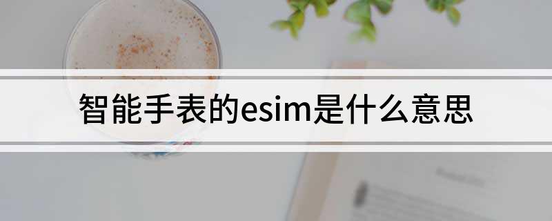 PG电子智能手表的esim是什么意思(图1)